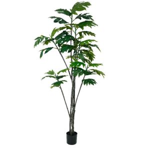 Grønnplante artocarpus