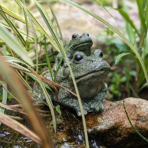 Liten hagefigur – Dobbel frosk