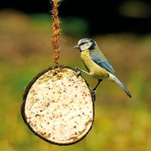 Halv Kokosnøtt – Premium helårs fuglemat