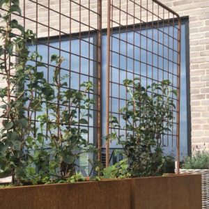 Plantekasse Espalier Cortenstål – 120×40 h40